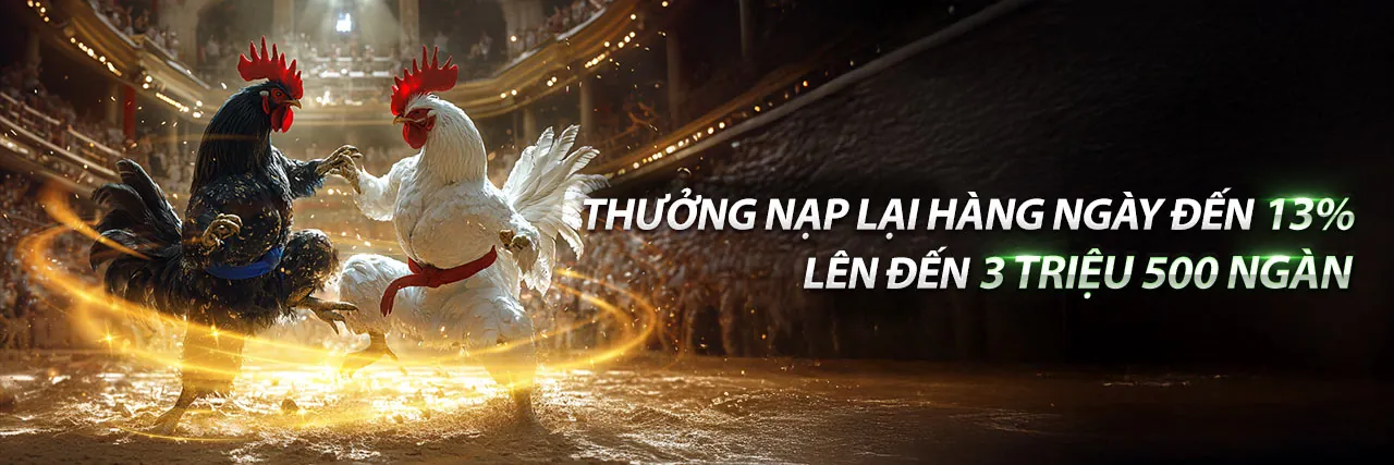 Đá Gà Trực Tuyến Hấp Dẫn trên 888sport apk